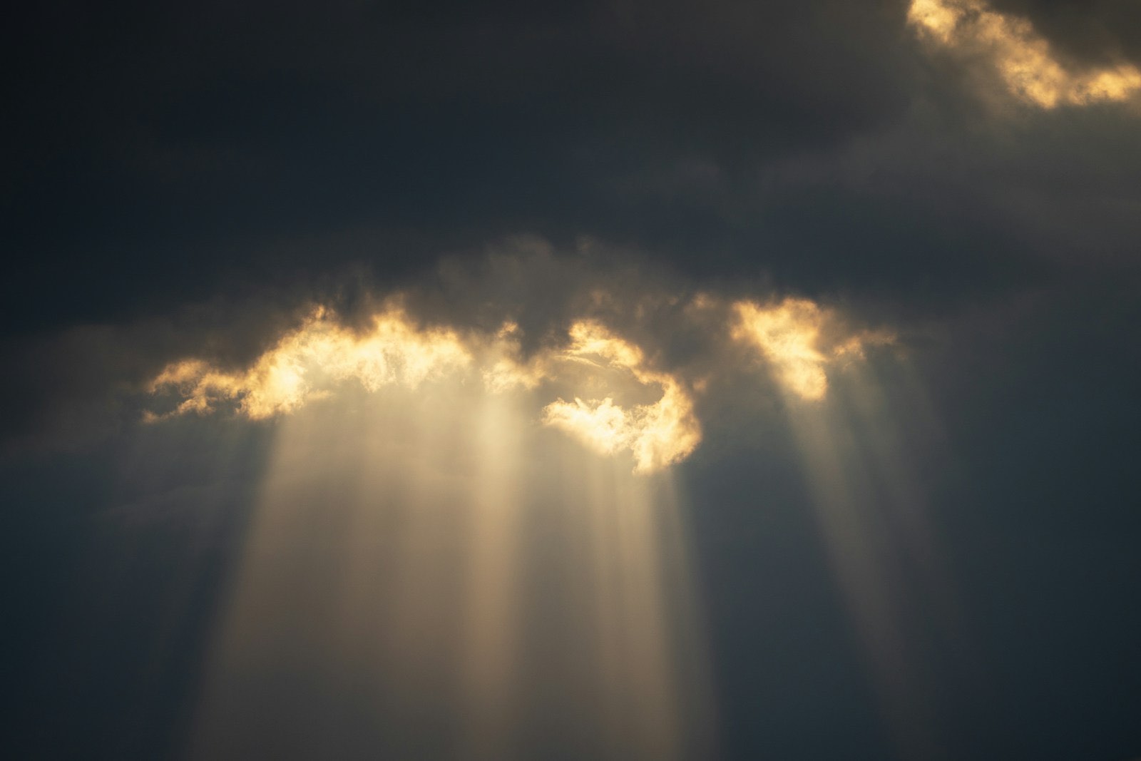 Heaven's government on earth