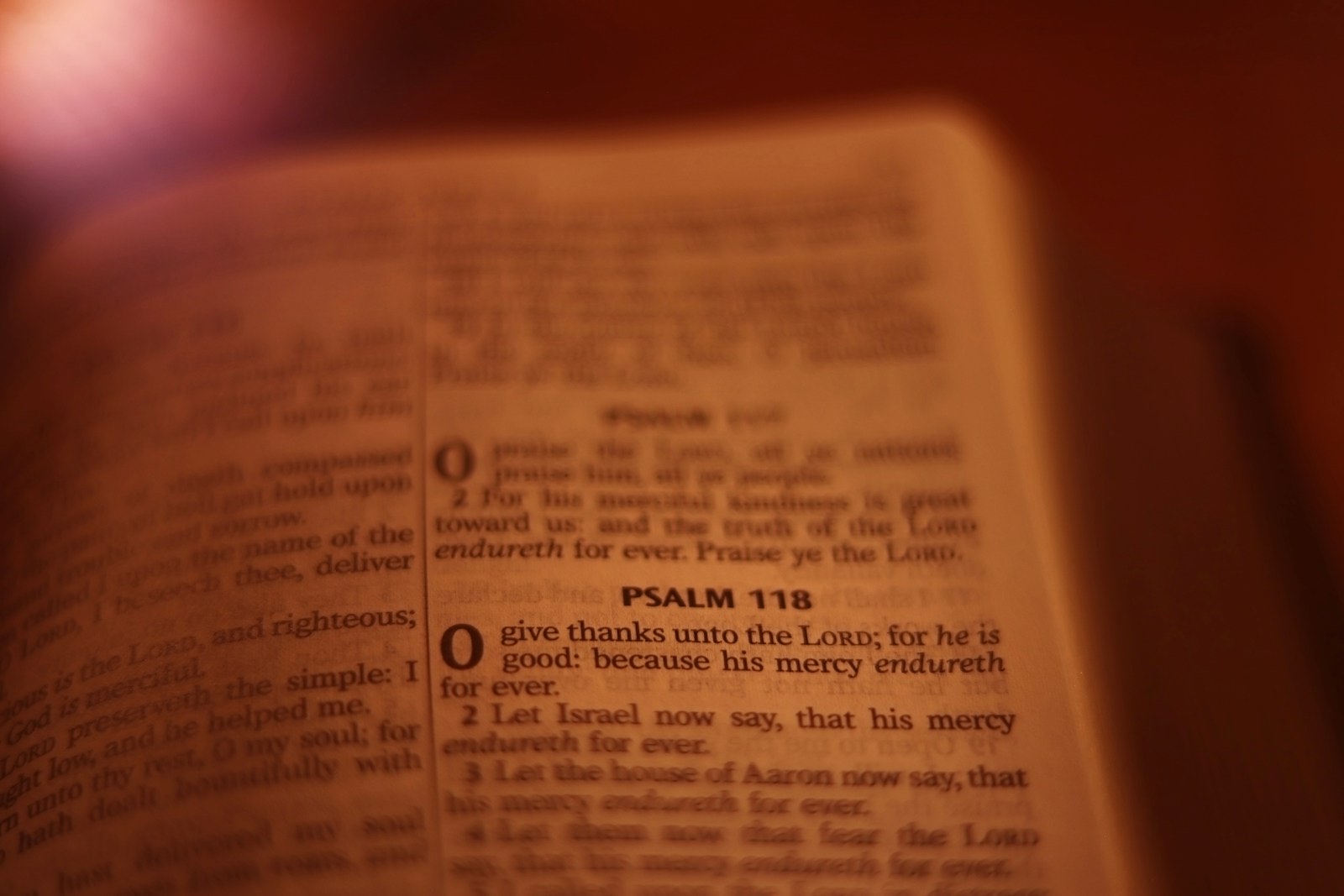 The Word of God